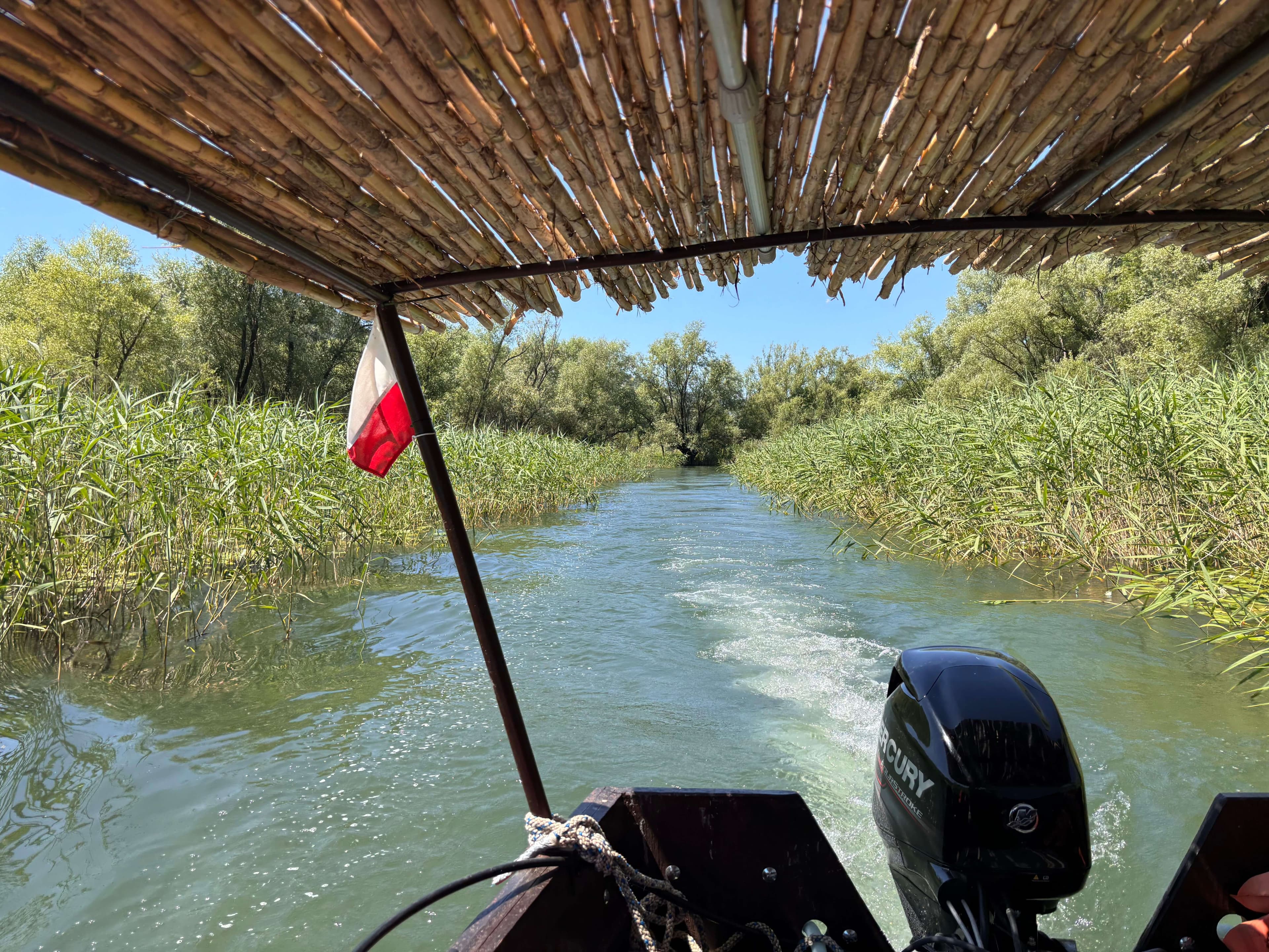 Private boat in a narrow reed channel of the Crnojevica River on the 3 Rivers & Lake Unforgettable Jungle tour, Lake Skadar