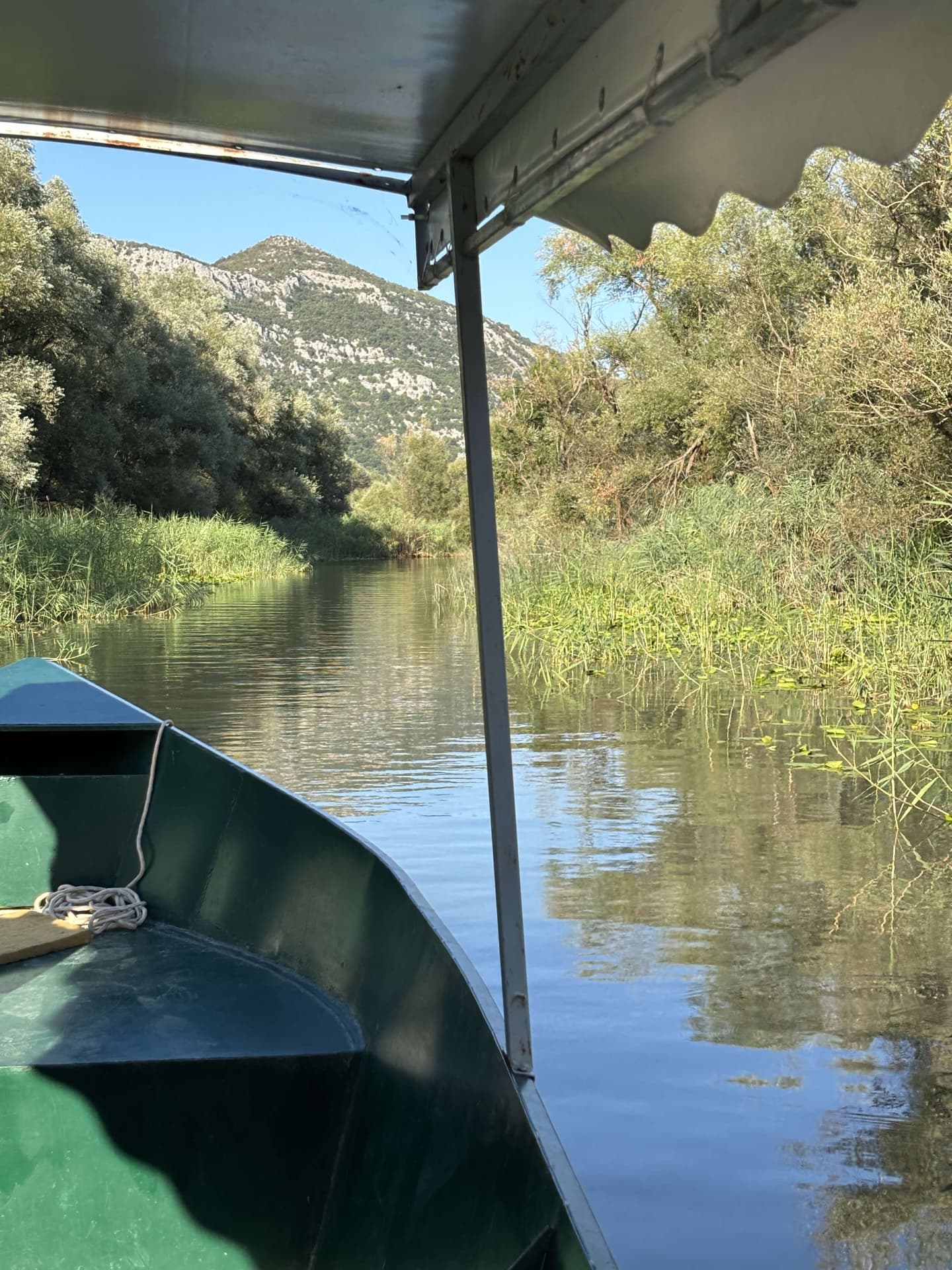 Boat tour on Crnojevica River near Rijeka Crnojevica, Lake Skadar